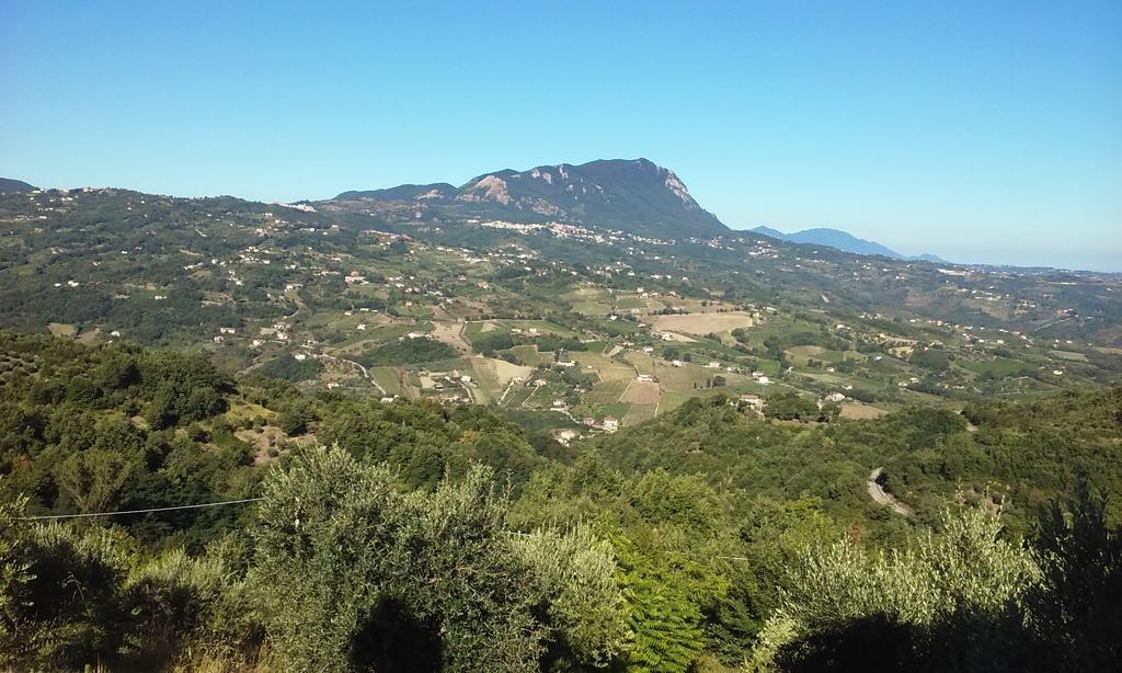 Agriturismo San Michele Paternopoli Bagian luar foto